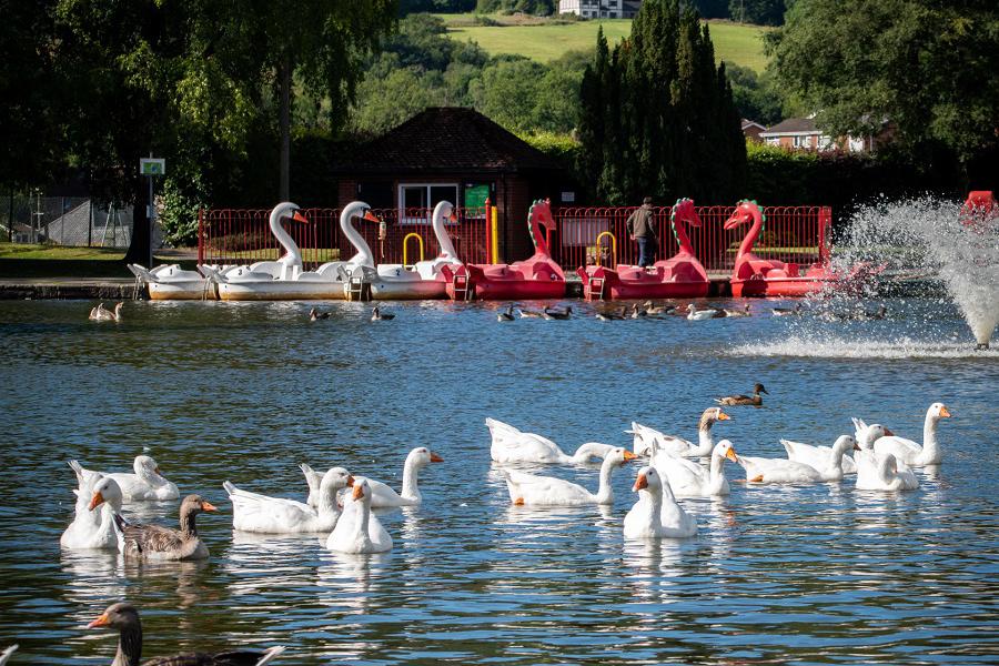 Paddle boats