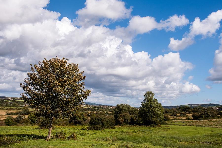 Nearby Llantrisant Common