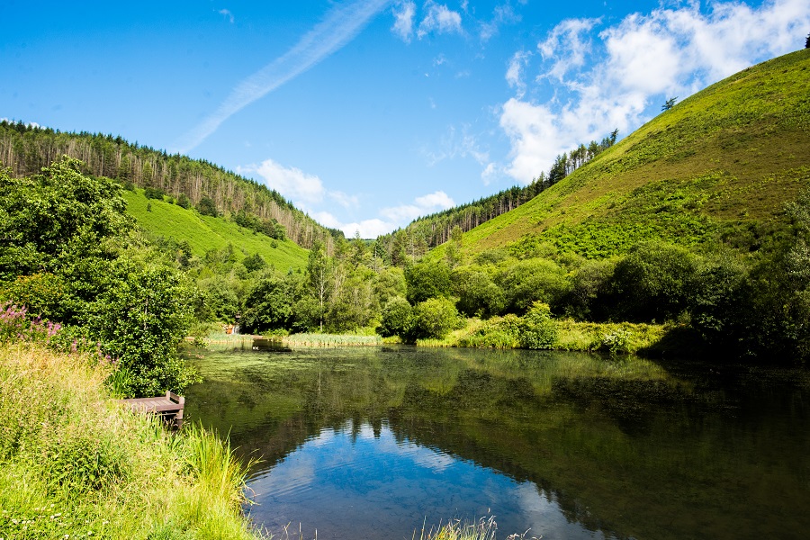 Grab it to takeaway and enjoy at Clydach Countryside Park