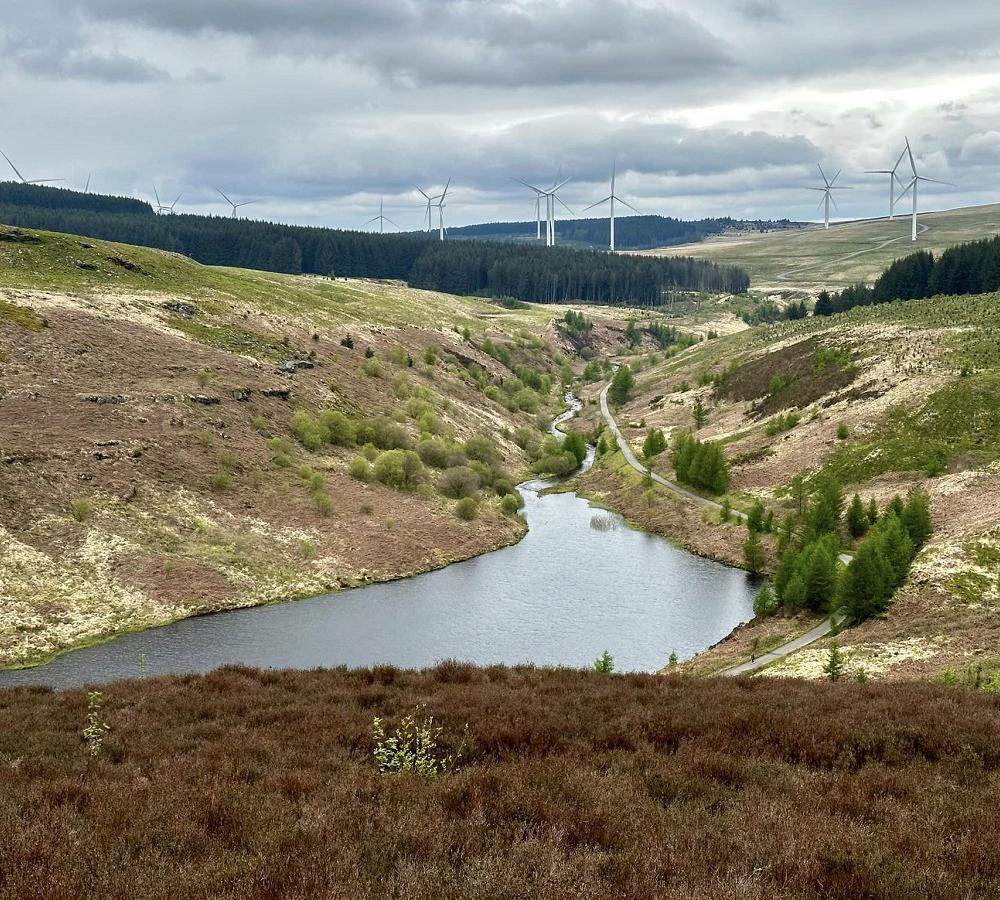 Maerdy Res. Picture by Gary Pain