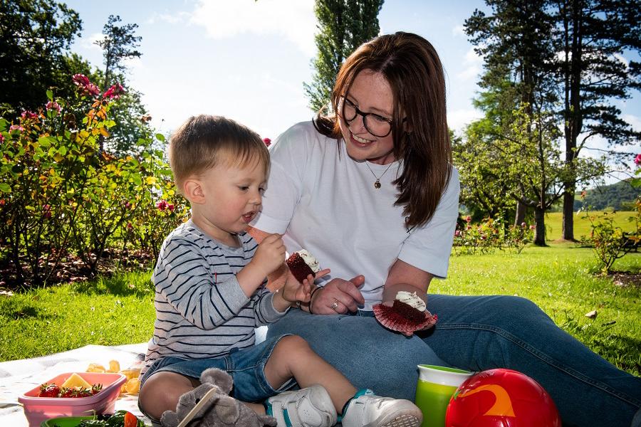 aberdare park kid friendly picnic cakes