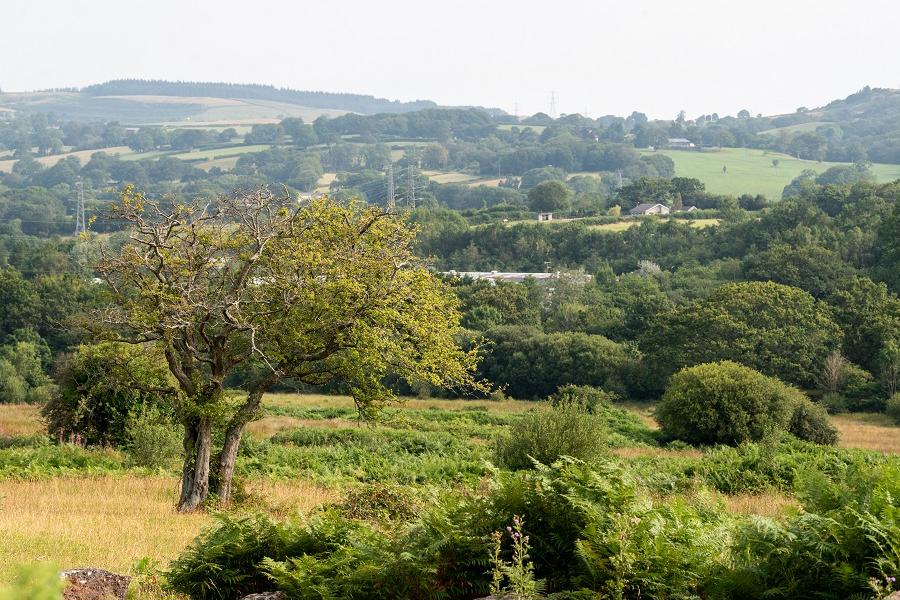 Llantrisant Common Walk