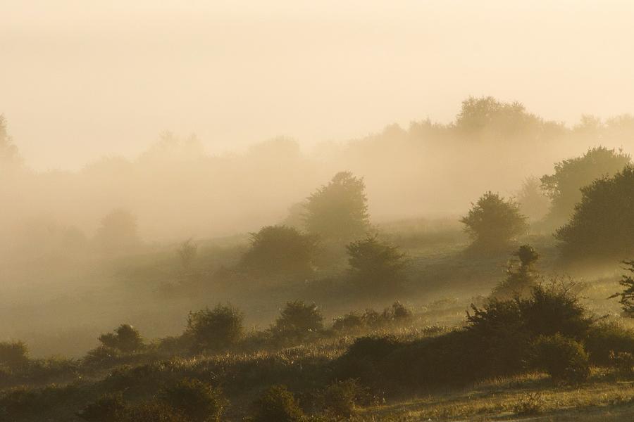 Llantrisant Common - Winter and Mist-2