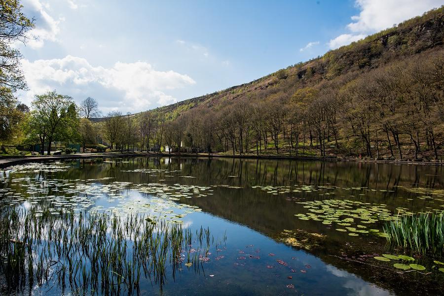 Llyn y Forwen Lake at Darran Park