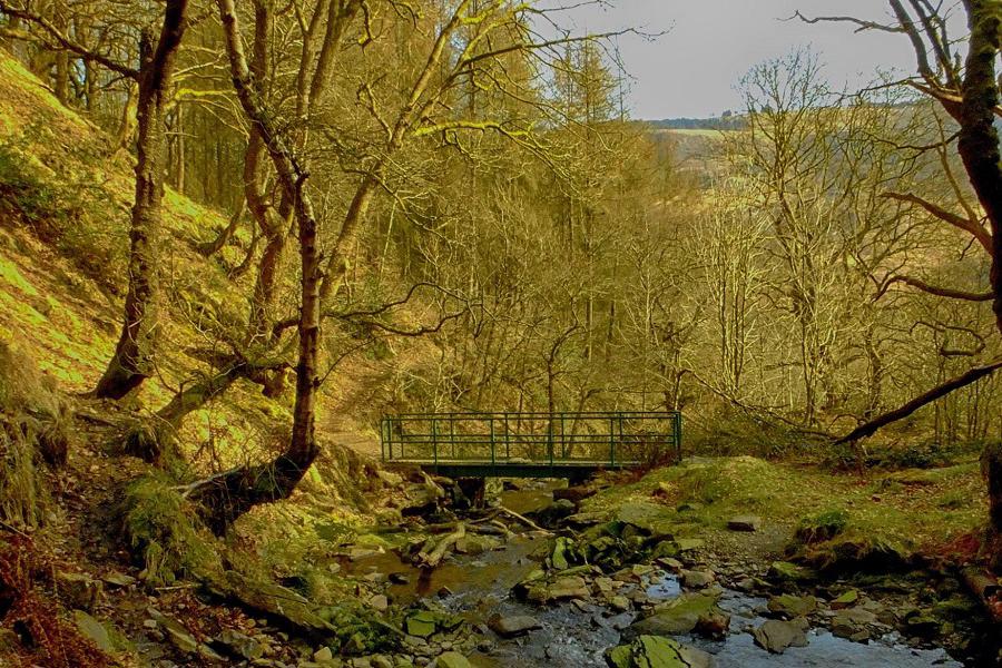 Nant Selsig on Penpych lower walk