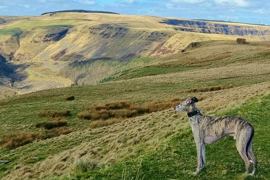 Sweeping views from the Clydach Vale Circular Walk. Picture by Tash WD.