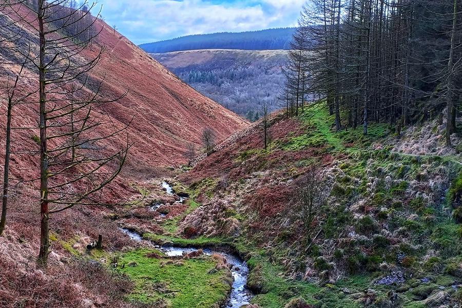 View from Clydach Vale Circular Walk. Picture by Lexy's Photography